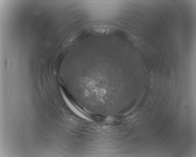X0000053101394200507251618