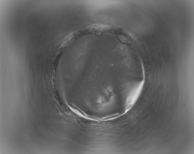 X0000053101397200507251618