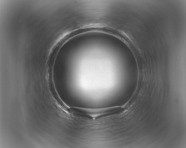 X0000053101406200507251619