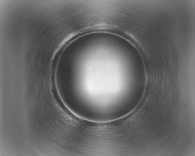 X0000053101410200507251619