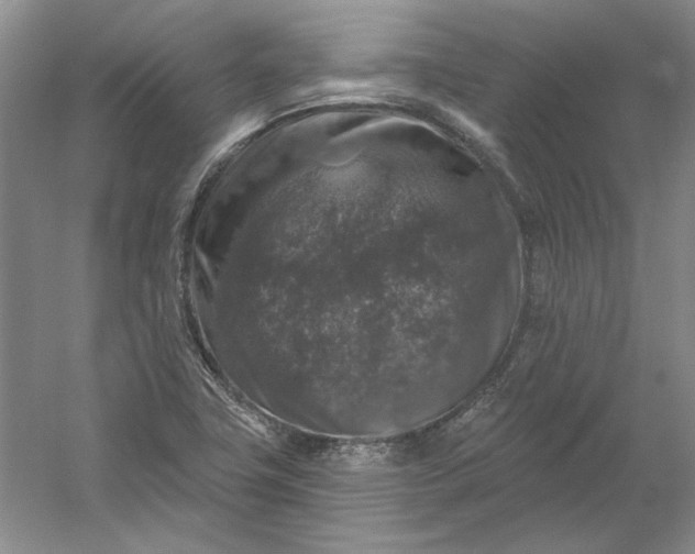 X0000053101411200507251619