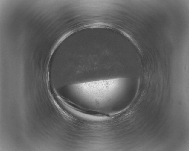 X0000053101418200507251619
