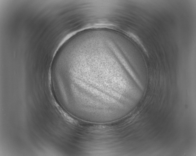X0000053101420200507251619