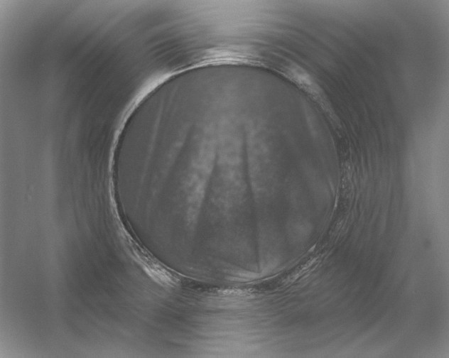 X0000053101427200507251619