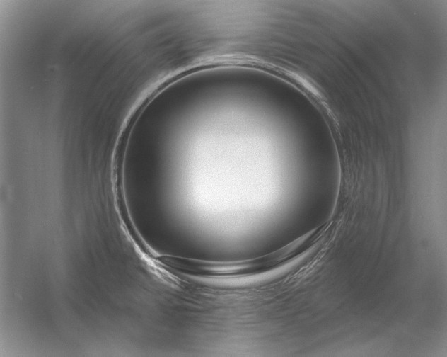 X0000053101430200507251619
