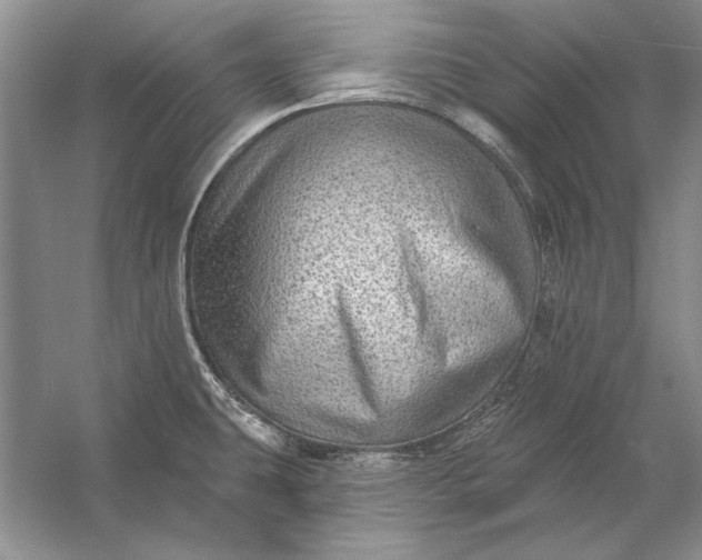 X0000053101431200507251619
