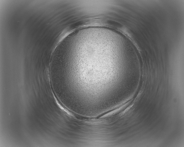 X0000053101433200507251619