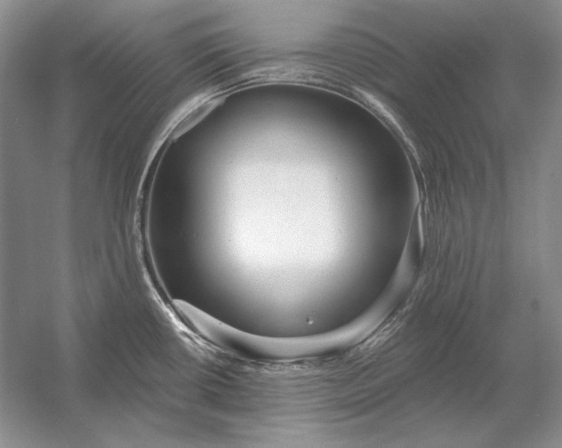 X0000053101434200507251619