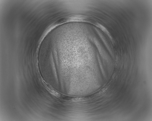 X0000053101435200507251619
