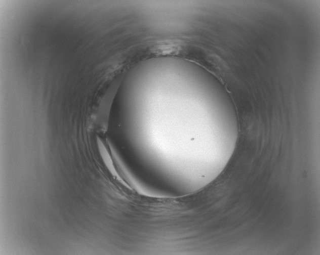 X0000053101442200507251618