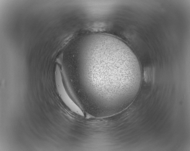 X0000053101444200507251618