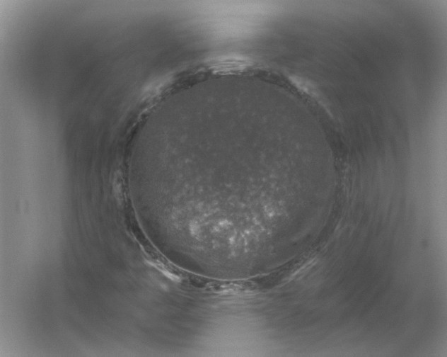 X0000053101445200507251618
