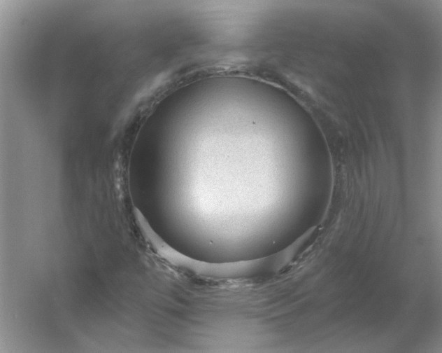 X0000053101447200507251618