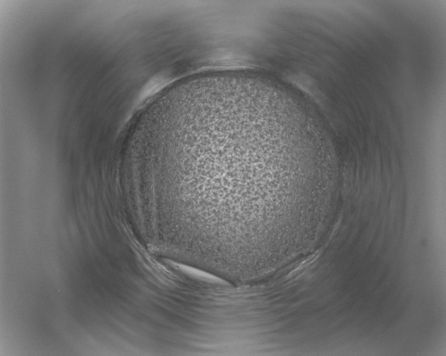 X0000053101451200507251618
