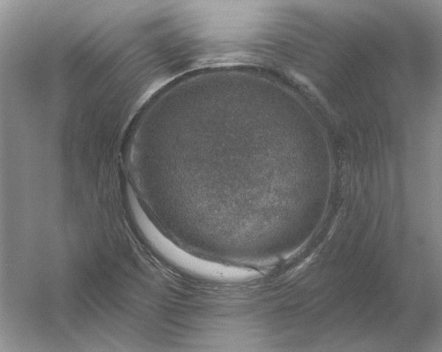 X0000053101457200507251618