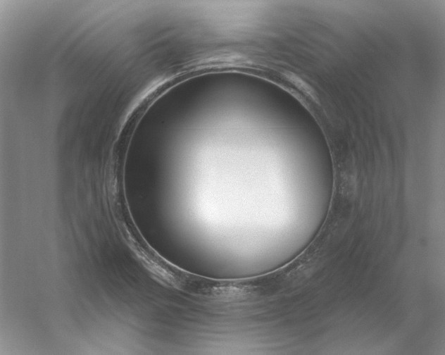 X0000053101458200507251618