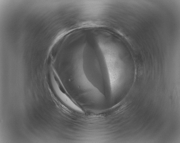 X0000053101459200507251618