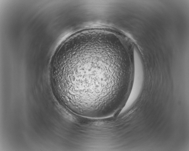 X0000053101463200507251618