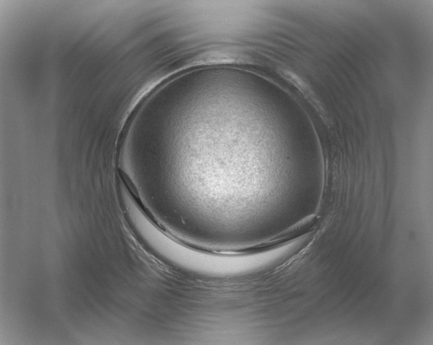 X0000053101465200507251618
