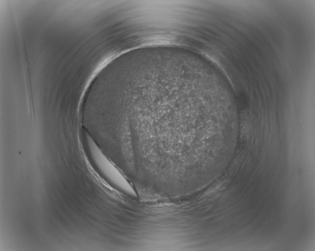 X0000053101467200507251618