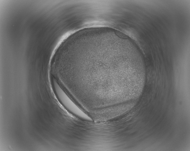 X0000053101472200507251618