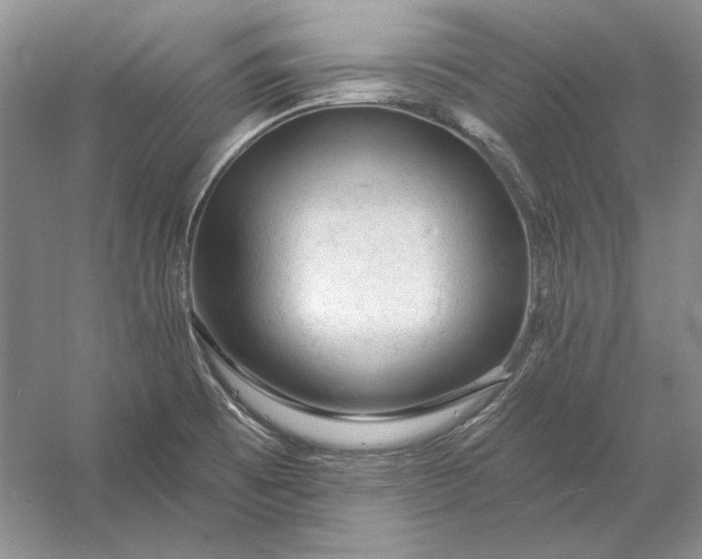 X0000053101473200507251618