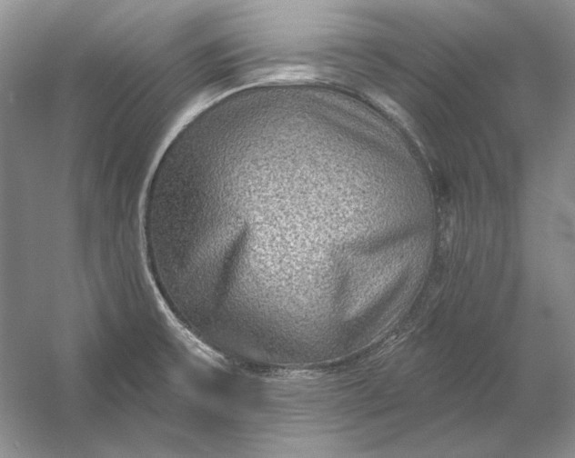 X0000053101475200507251618