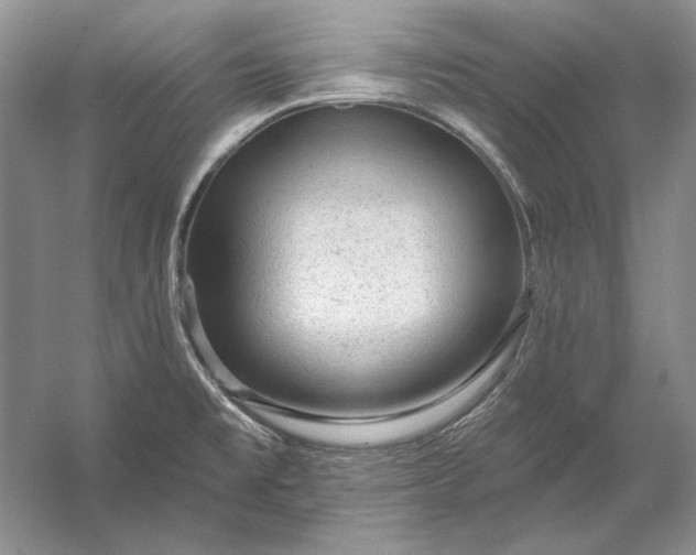 X0000053101477200507251618