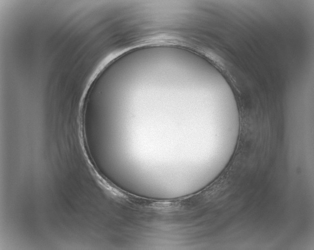 X0000053101478200507251618