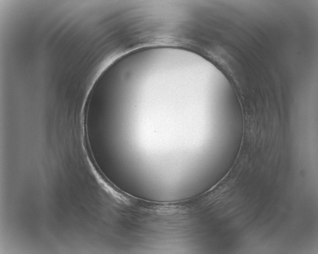 X0000053101479200507251618