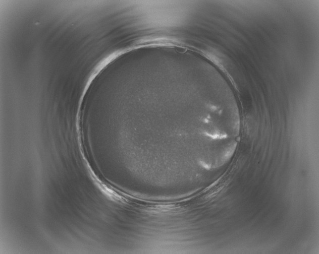 X0000053101482200507251618
