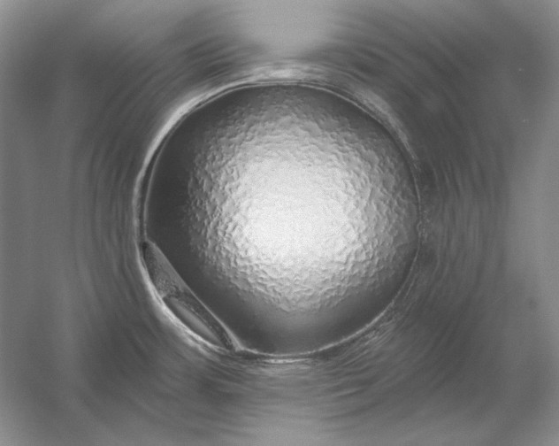 X0000053101483200507251618