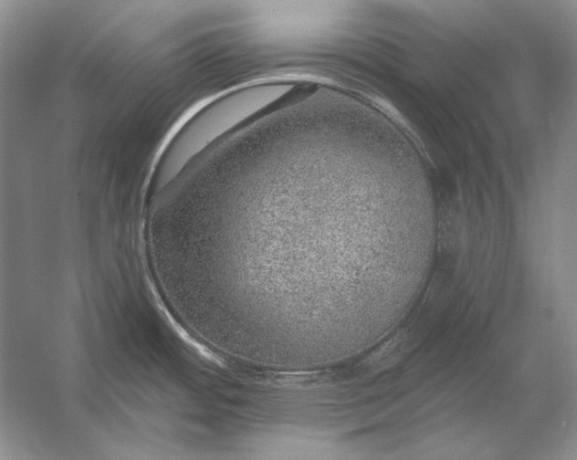 X0000053101484200507251618