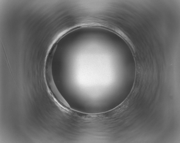 X0000053101485200507251618