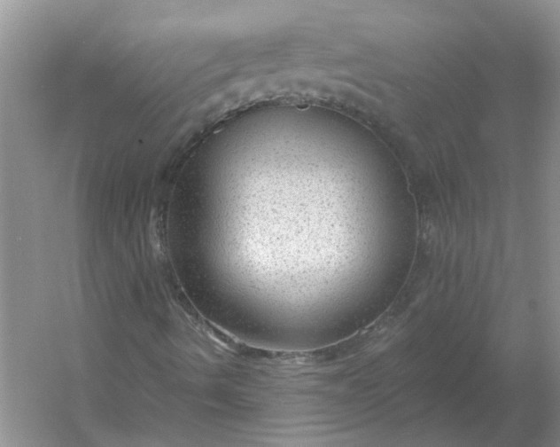X0000053101490200507251617