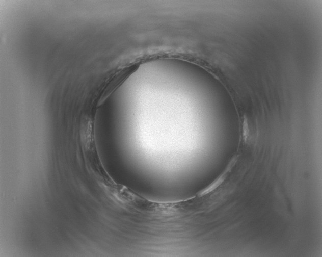 X0000053101492200507251617