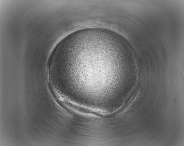 X0000053101509200507251617
