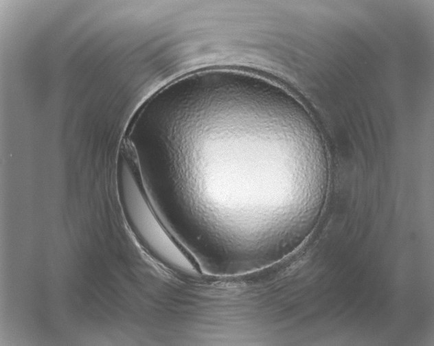 X0000053101513200507251617