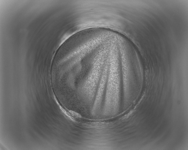X0000053101521200507251617