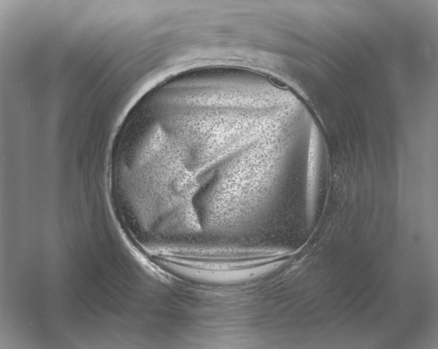 X0000053101523200507251617