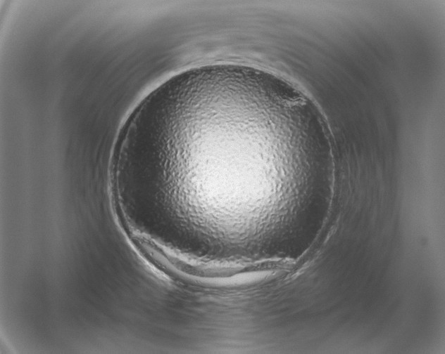 X0000053101525200507251617