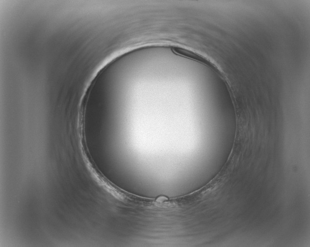 X0000053101526200507251617