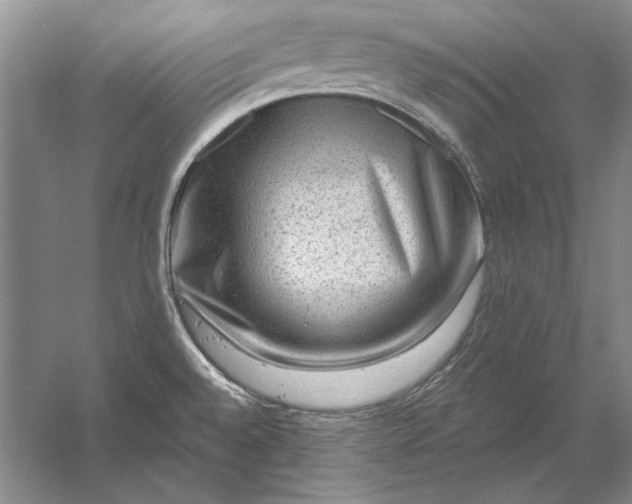 X0000053101528200507251617