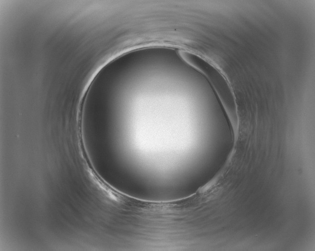 X0000053101532200507251617