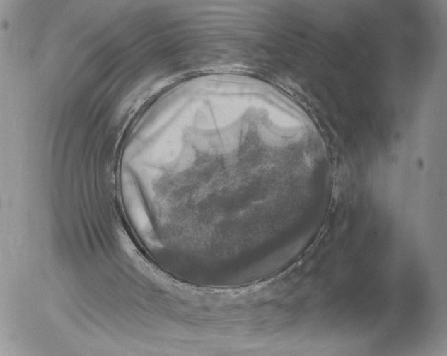 X0000053100002200508012111