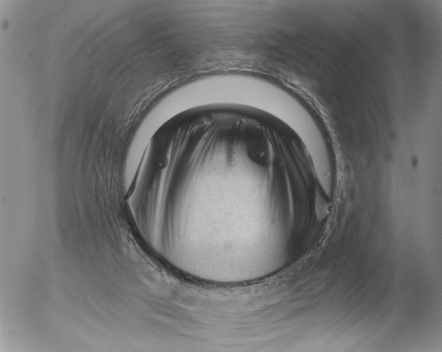 X0000053100017200508012110