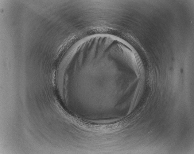 X0000053100023200508012110