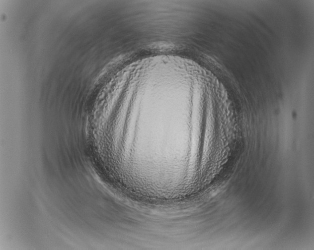 X0000053100024200508012110