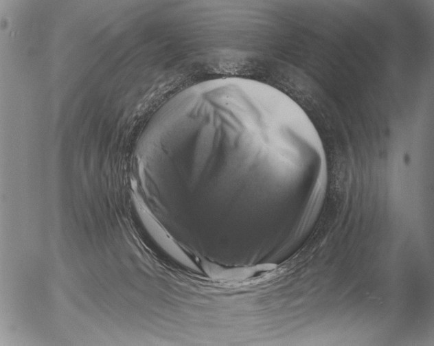 X0000053100031200508012110