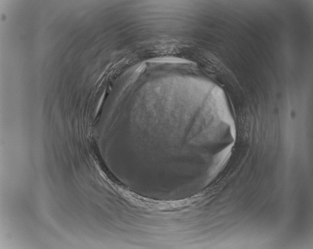 X0000053100035200508012110